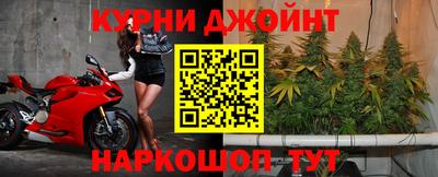 прущие грибы Жуковский