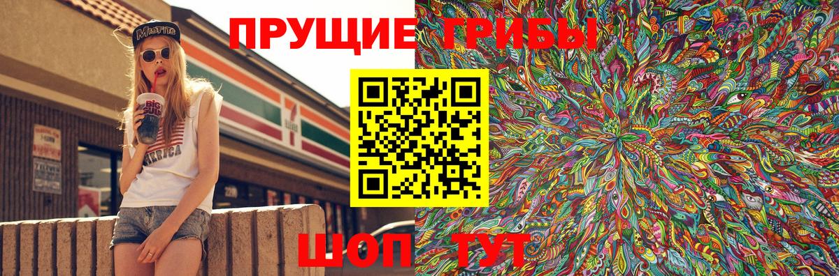 Псилоцибиновые грибы GOLDEN TEACHER Магадан