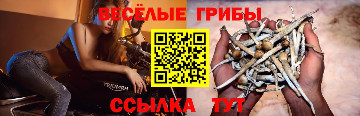 Псилоцибиновые грибы мухоморы  Вход с VPN  Магадан 